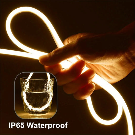 Bande lumineuse néon LED USB DC 5V